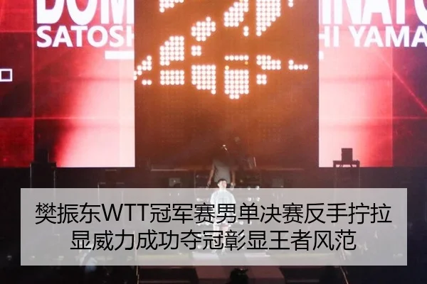 樊振东WTT冠军赛男单决赛反手拧拉显威力成功夺冠彰显王者风范